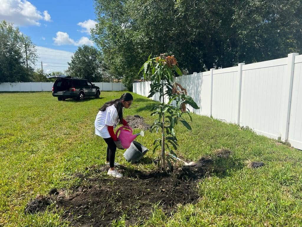 A young volunteer watering a newly planted tree